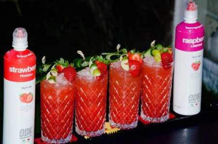 Фруктовое пюре Малина, ODK Fruity Mix, 1000 г