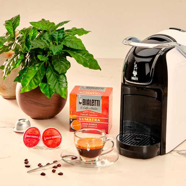 Кофе в капсулах Bialetti SUMATRA, 12 шт