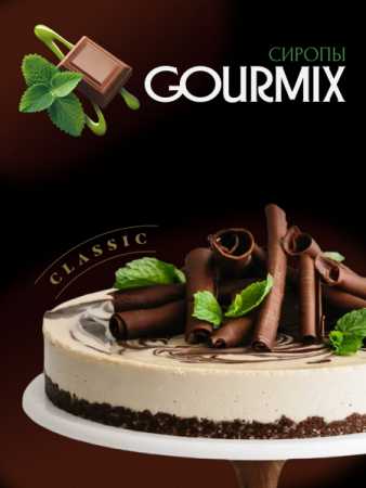 Сироп Gourmix (бывш. DaVinci) Мята и шоколад,1000 мл